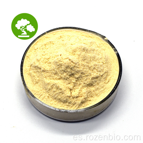 Extracto de raíz de Scutellaria Baicalensis Baicalin Polvo de Baicalin